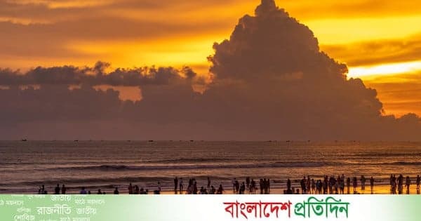 রয়েল বেঙ্গল টাইগারের দেশে পর্যটক আসে না কেন?