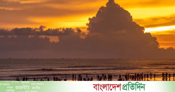 রয়েল বেঙ্গল টাইগারের দেশে পর্যটক আসে না কেন?