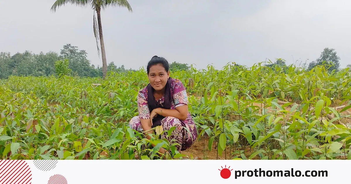 আমের আঁটি থেকে ২০ লাখ টাকা: পাহাড়ের নারী উদ্যোক্তার স্বাধীন সংগ্রাম